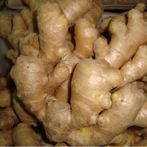 Fresh Ginger