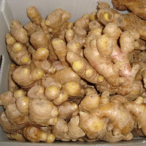 Air Dry Ginger