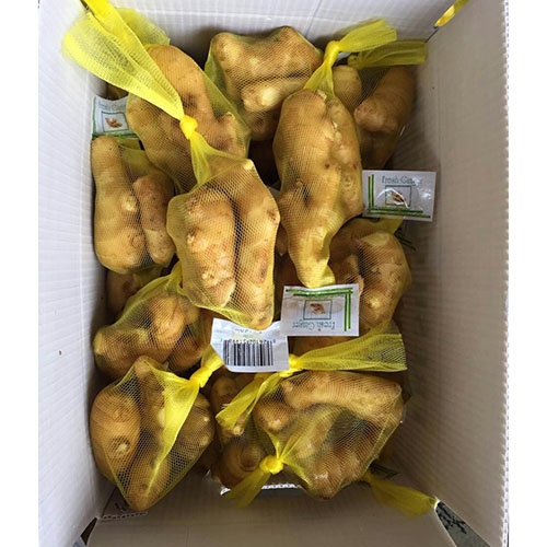 Air Dry Ginger