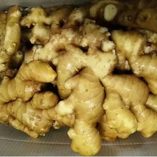 Air Dry Ginger
