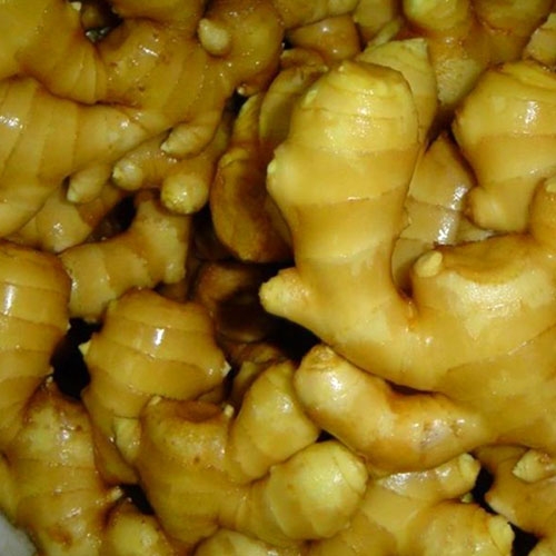 Fresh Ginger