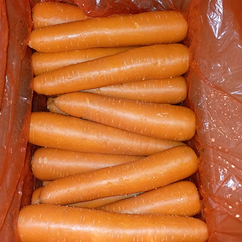 Fresh Carrot