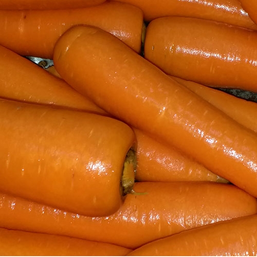 Fresh Carrot