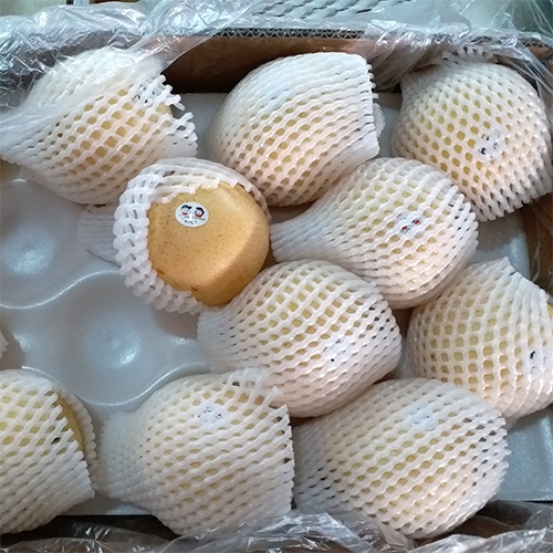 Asian Pear