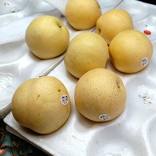 Asian Pear