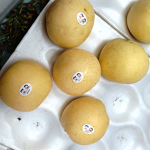 Asian Pear