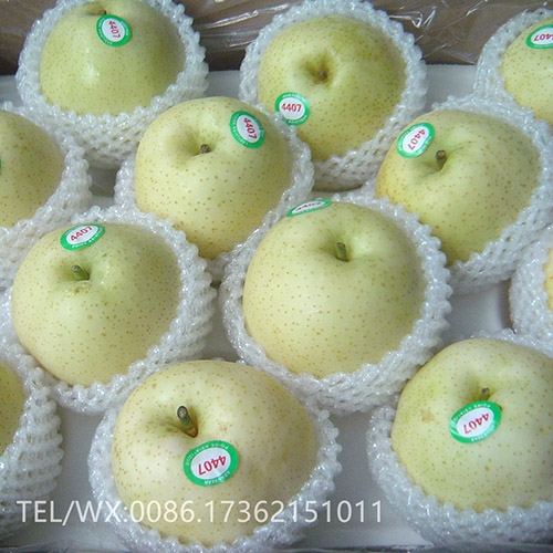 Asian Pear