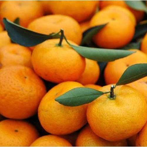 Mandarin Orange