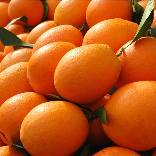 Navel Orange