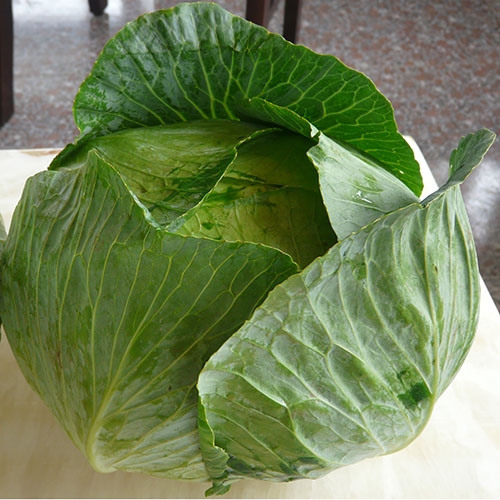 Fresh Cabbages