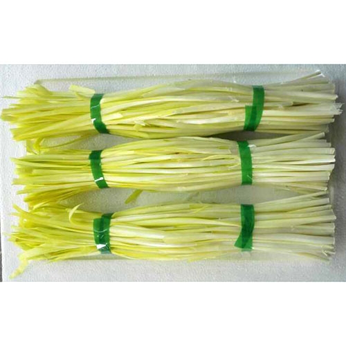 Yellow Chinese Chive