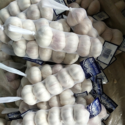Frozen garlic