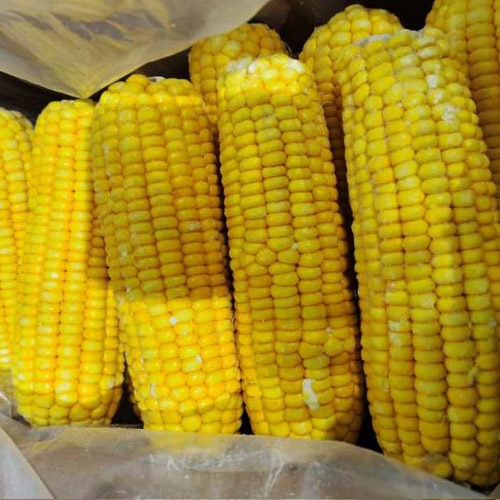 frozen boiled glutinous corn