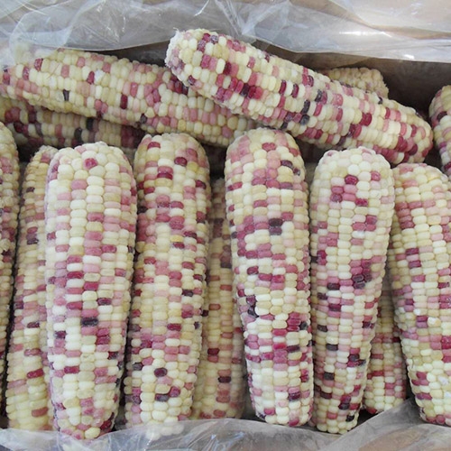 frozen boiled glutinous corn